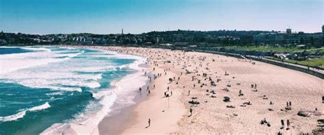 Discover The Beauty Of Bondi Beach A Must See Attraction In Australia