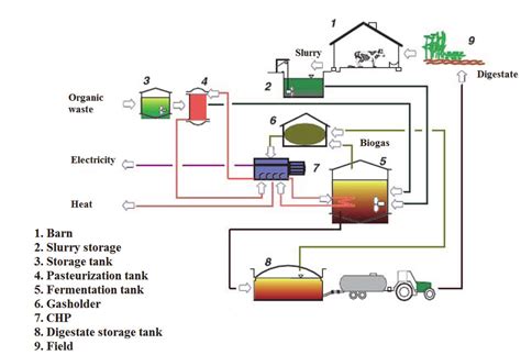 Biogas Production
