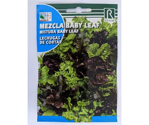 Semilla Lechuga Baby Leaf