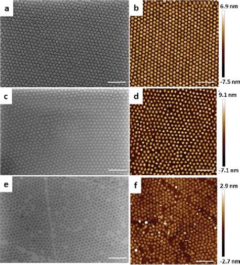 SEM Left Column Panels And AFM Right Column Panels Images Of A