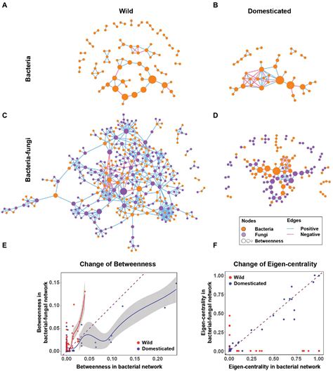 Frontiers Cross Kingdom Co Occurrence Networks In The Plant