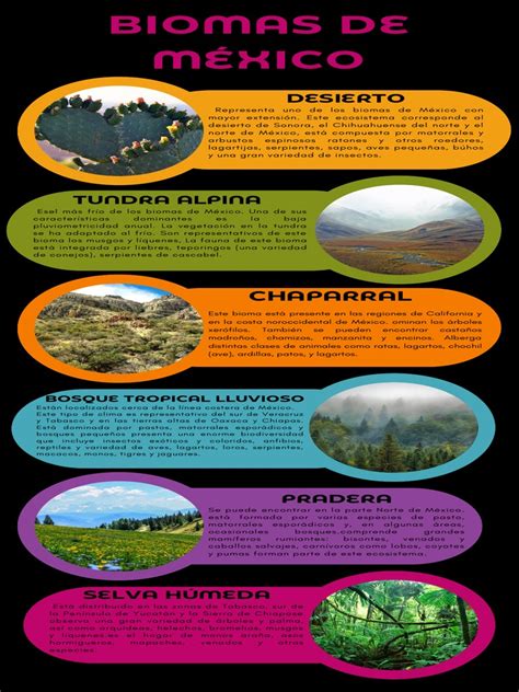 Biomas De México Pdf Biogeografia Ecología