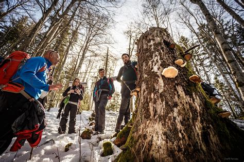 Stage De Survie Grand Froid Dans Le Jura En Igloo Decathlon Travel