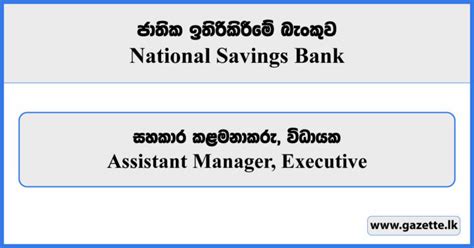 Assistant Manager Executive National Savings Bank Vacancies 2024