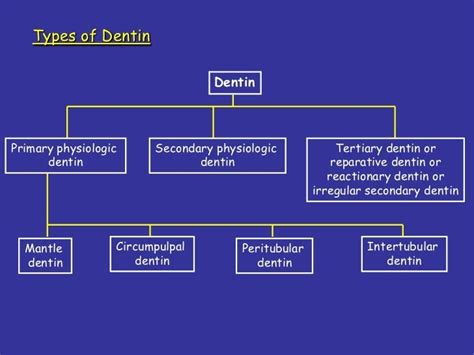 Medicowesome: Types of Dentin