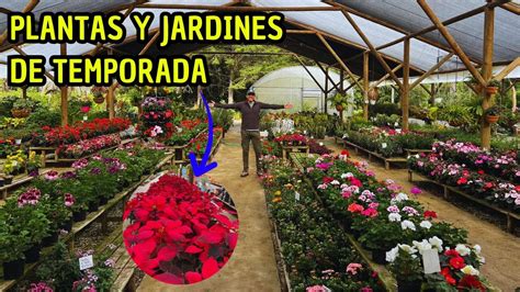 Tour Por Hermoso Vivero Tropical Plantas De Temporada Jard N Del