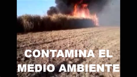 Quema De Ca A Grave Contaminaci N Ambiental En La Regi N Lambayeque