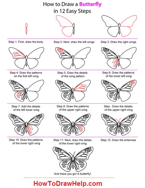 How To Draw A Butterfly Step By Step Tutorial Draw A Butterfly