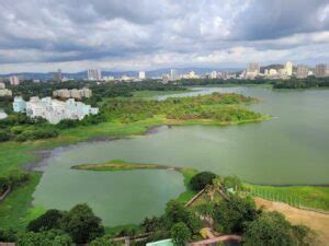 Top 4 things to do in Powai Lake Mumbai