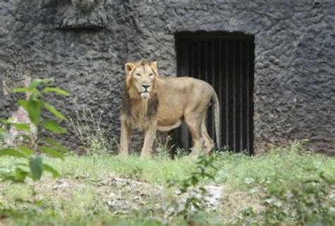 Ridiyagama Safari Park Hambantota 2020 All You Need To Know Before