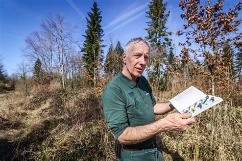 Doubs Régénération des forêts et si une partie de la solution venait