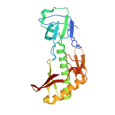 Rcsb Pdb E B Crystal Structure Of The Alax M Trans Editing Enzyme