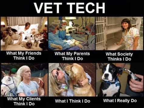 Pin By Mellisa Gilliam On Vet Tech Life Vet Tech Student Veterinary