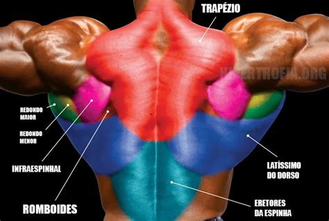 Os 7 melhores exercícios de costas barra