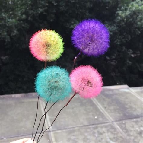 Pusteblume Haltbar Machen Konservieren Im Glas Und Als Deko Verwenden