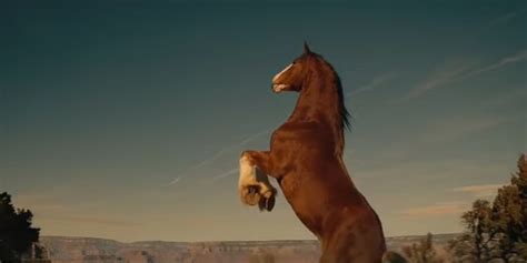 Budweiser Releases New Pro-America Ad with Iconic Clydesdale Horses in ...