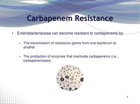 Ppt Carbapenemase Producing Carbapenem Resistant