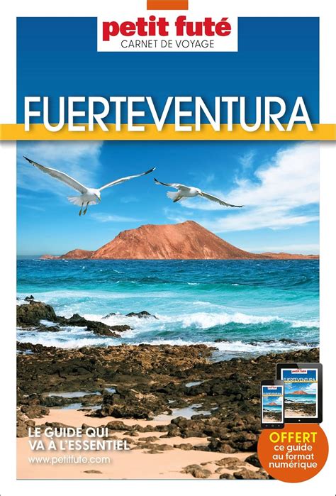 Guide Fuerteventura 2024 Carnet Petit Futé Amazon co uk Auzias