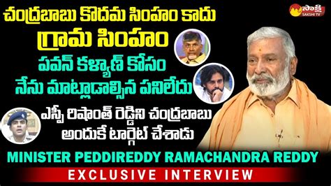 Minister Peddireddy Ramachandra Reddy Comments On Punganur Issue