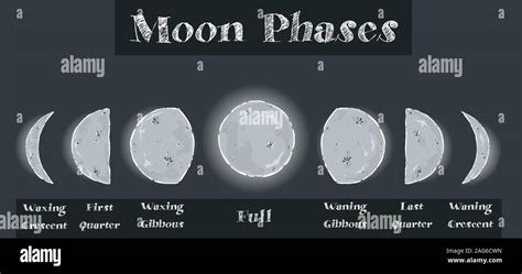 Vector Moon Phases Set Calendar Symbols Vector Illustration Stock