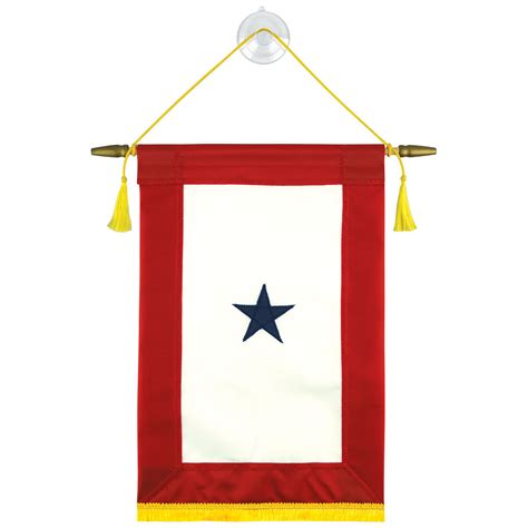 Blue Star Banner - The Flag Shop