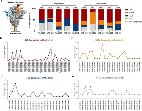 Epitope Binning And Genetic Characterization Of Competing Nabs A The