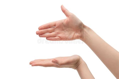 Mano De Mujer Aislada En Un Fondo Blanco Foto De Archivo Imagen De