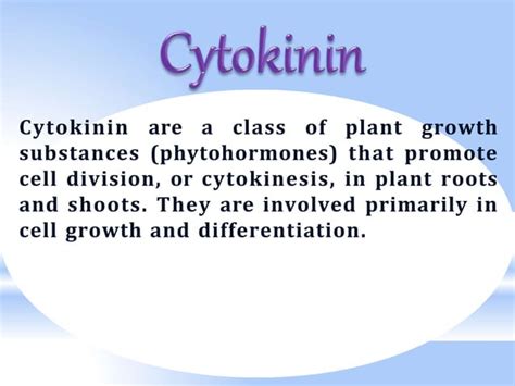 Cytokinin Pptx