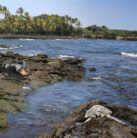 12 Astonishingly Unique Beaches You Wont Believe Exist Ecophiles