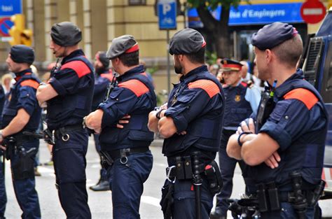 Dia De Les Esquadres Tria Formaci