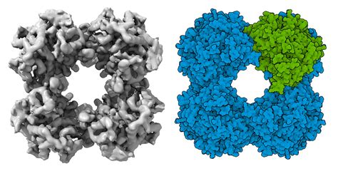 Pdb 101 Learn Exploring Structural Biology With Computed Structure Models Csms