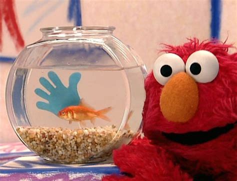 Is Oscar the Grouch better than Dorothy? Poll Results - Elmo - Fanpop