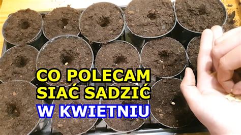 Co Polecam Sia Sadzi W Kwietniu Kalendarz Ogrodnika Warzywnika