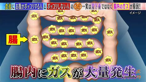 「食後にお腹が出る＝胃下垂」は間違い！その原因と対策とは？ この差って何ですか？｜tbsテレビ