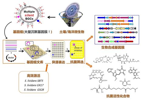 首页 上海交通大学生命科学技术学院