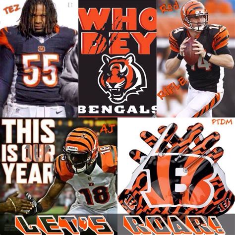 Whodey Cincinnati Bengals Football Cincinnati Bengals Bengals Football