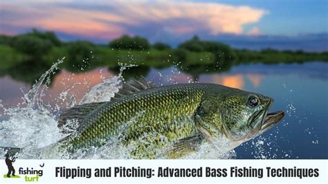 Mastering Flipping And Pitching For Epic Bass Catches