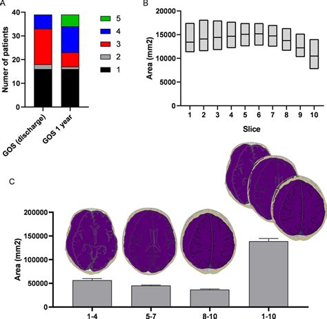 A Bar Graph Depicts Glasgow Outcome Scale Gos At Discharge And 1 Year Download Scientific