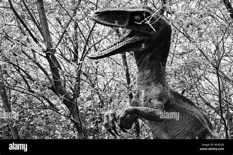 Modelo Realista De Dinosaurio Imágenes De Stock En Blanco Y Negro Alamy