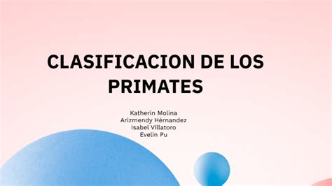 CLASIFICACION DE LOS PRIMATES by Katherin Andrea Molina Cobón on Prezi