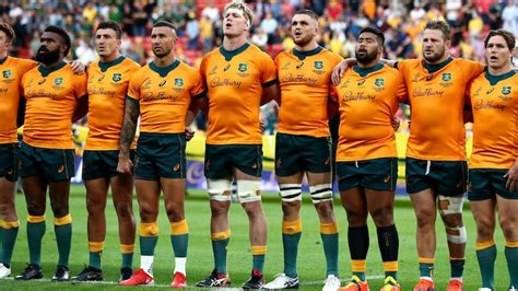 Wallabies Rugby | Here's how to get tickets