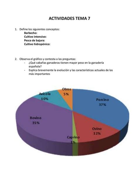 Actividades Tema Pdf