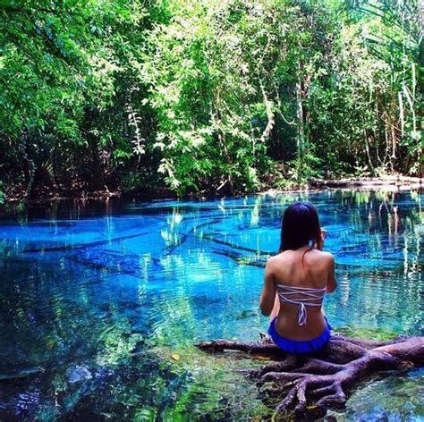 A Woman Sitting On Top Of A Log In The Middle Of A River Surrounded By