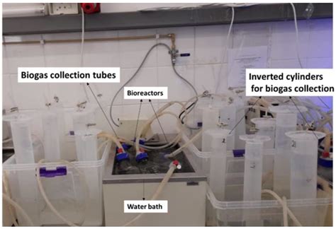 Ijerph Free Full Text Assessment Of Magnetic Nanomaterials For