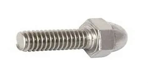 SS Dome Bolt Stainless Steel Dome Cap Nut Wholesale Trader From Mumbai