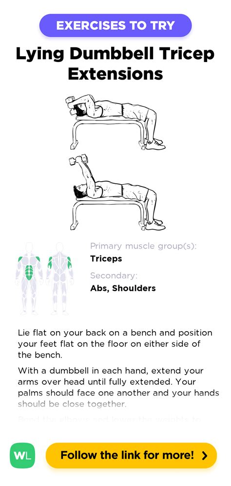 Lying Dumbbell Tricep Extensions – WorkoutLabs Exercise Guide