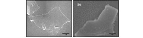 Representative Fesem Images Of Exfoliated Graphene Flakes Of Rpm