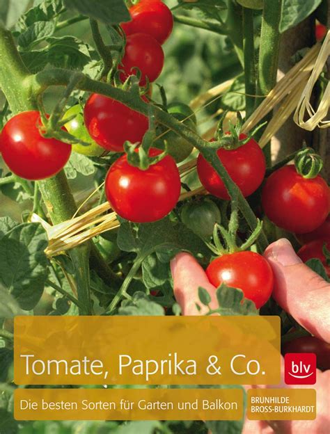 Tomaten Paprika Co besten Sorten für Garten und Balkon BLV