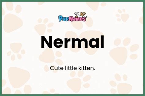 Nermal Nombre De Perro Significado Y Popularidad PupNames