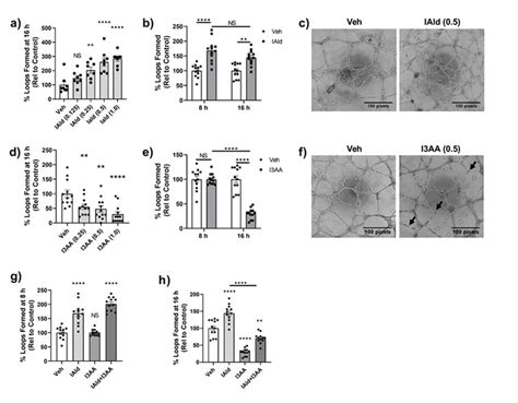 Iald And I Aa Differentially Influenced Angiogenesis Human Umbilical